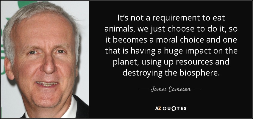 It’s not a requirement to eat animals, we just choose to do it, so it becomes a moral choice and one that is having a huge impact on the planet, using up resources and destroying the biosphere. - James Cameron