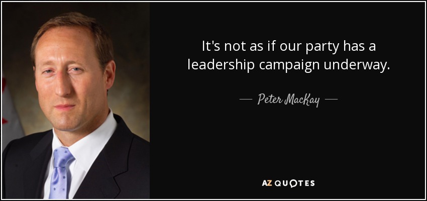 It's not as if our party has a leadership campaign underway. - Peter MacKay