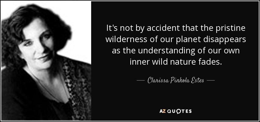 It's not by accident that the pristine wilderness of our planet disappears as the understanding of our own inner wild nature fades. - Clarissa Pinkola Estes