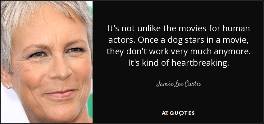 It's not unlike the movies for human actors. Once a dog stars in a movie, they don't work very much anymore. It's kind of heartbreaking. - Jamie Lee Curtis