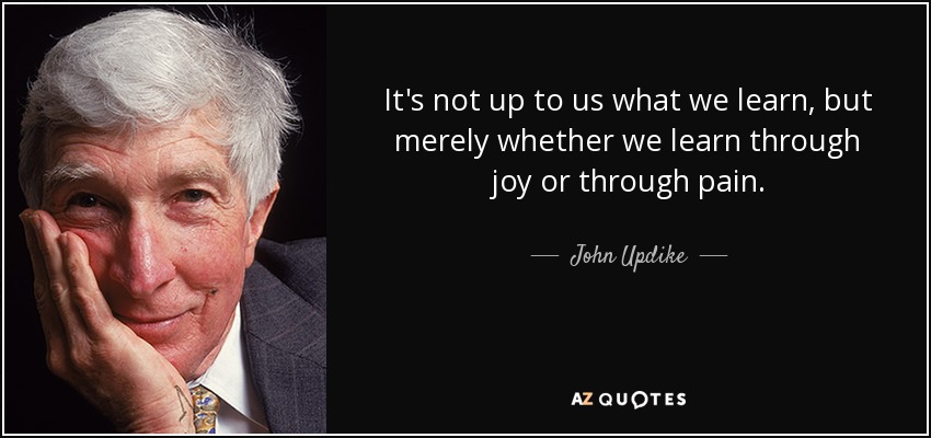 It's not up to us what we learn, but merely whether we learn through joy or through pain. - John Updike