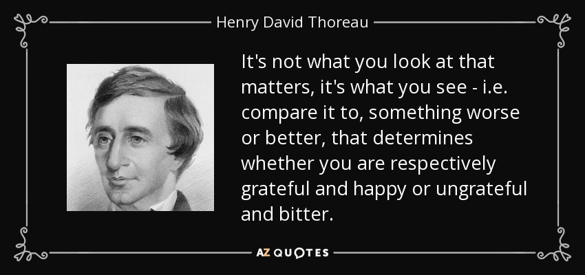 It's not what you look at that matters, it's what you see - i.e. compare it to, something worse or better, that determines whether you are respectively grateful and happy or ungrateful and bitter. - Henry David Thoreau
