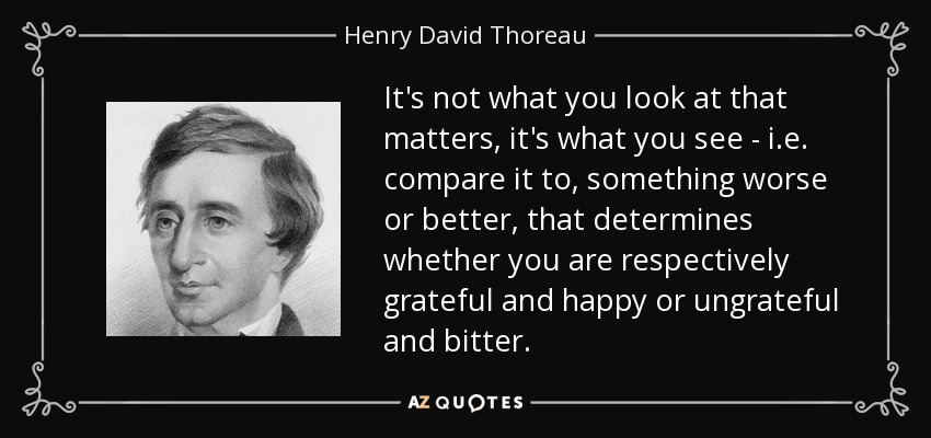 It's not what you look at that matters, it's what you see - i.e. compare it to, something worse or better, that determines whether you are respectively grateful and happy or ungrateful and bitter. - Henry David Thoreau