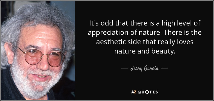 It's odd that there is a high level of appreciation of nature. There is the aesthetic side that really loves nature and beauty. - Jerry Garcia