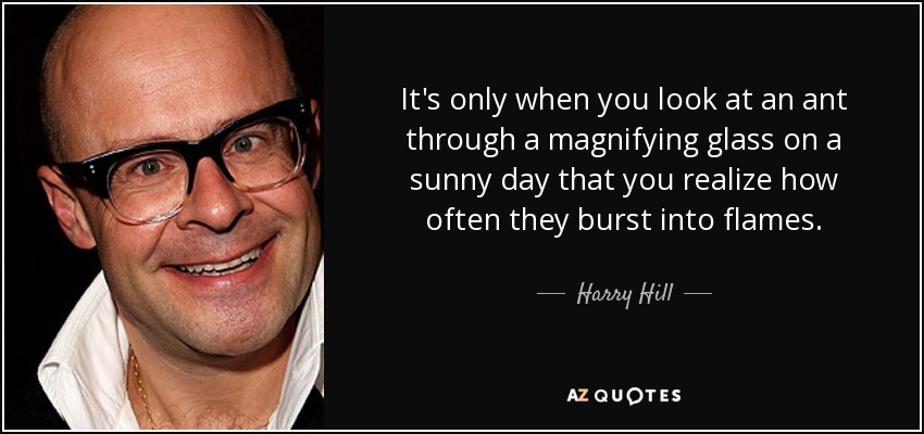 It's only when you look at an ant through a magnifying glass on a sunny day that you realize how often they burst into flames. - Harry Hill