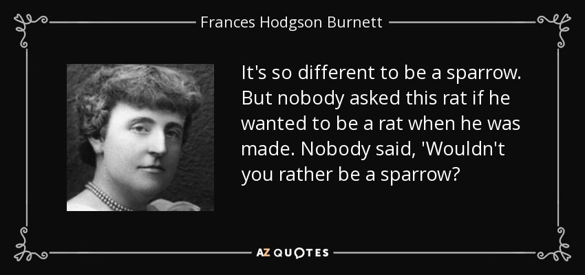 It's so different to be a sparrow. But nobody asked this rat if he wanted to be a rat when he was made. Nobody said, 'Wouldn't you rather be a sparrow? - Frances Hodgson Burnett