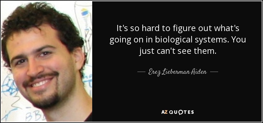 It's so hard to figure out what's going on in biological systems. You just can't see them. - Erez Lieberman Aiden
