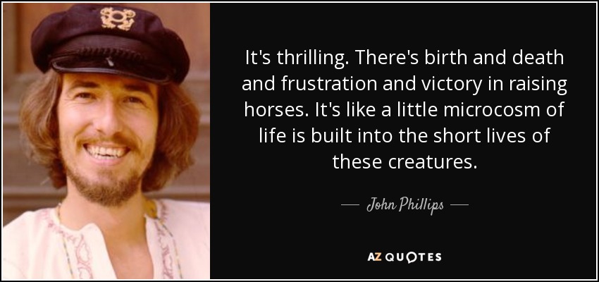 It's thrilling. There's birth and death and frustration and victory in raising horses. It's like a little microcosm of life is built into the short lives of these creatures. - John Phillips