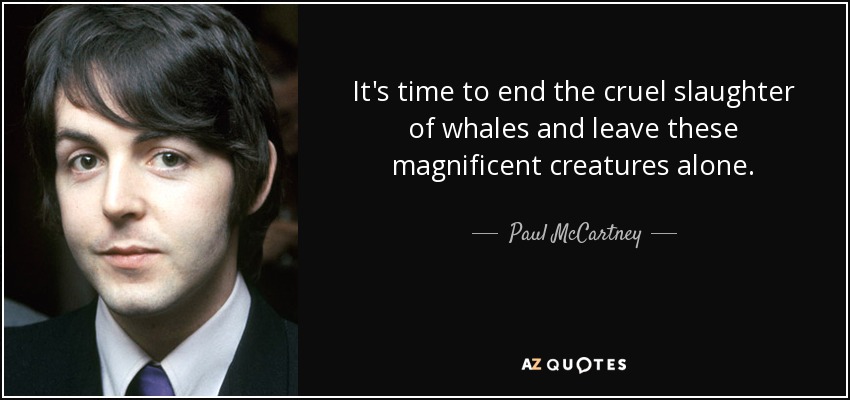 It's time to end the cruel slaughter of whales and leave these magnificent creatures alone. - Paul McCartney
