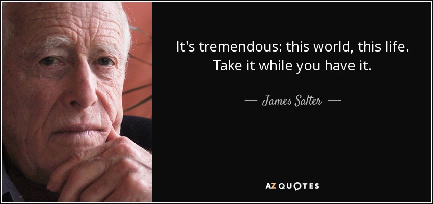 It's tremendous: this world, this life. Take it while you have it. - James Salter