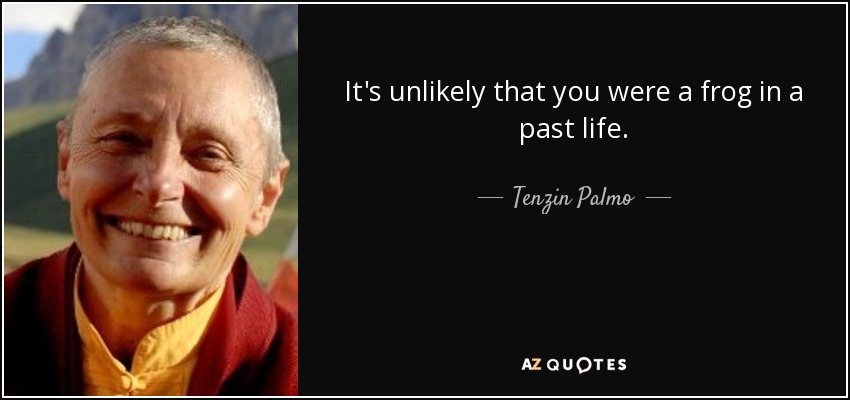 It's unlikely that you were a frog in a past life. - Tenzin Palmo