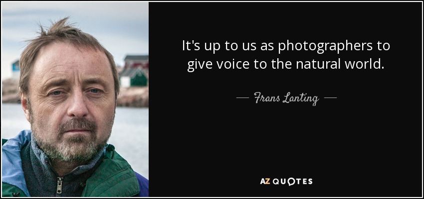 It's up to us as photographers to give voice to the natural world. - Frans Lanting
