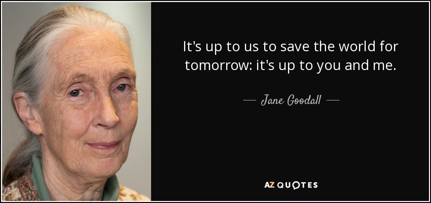 It's up to us to save the world for tomorrow: it's up to you and me. - Jane Goodall