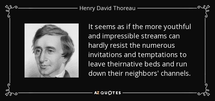 It seems as if the more youthful and impressible streams can hardly resist the numerous invitations and temptations to leave theirnative beds and run down their neighbors' channels. - Henry David Thoreau