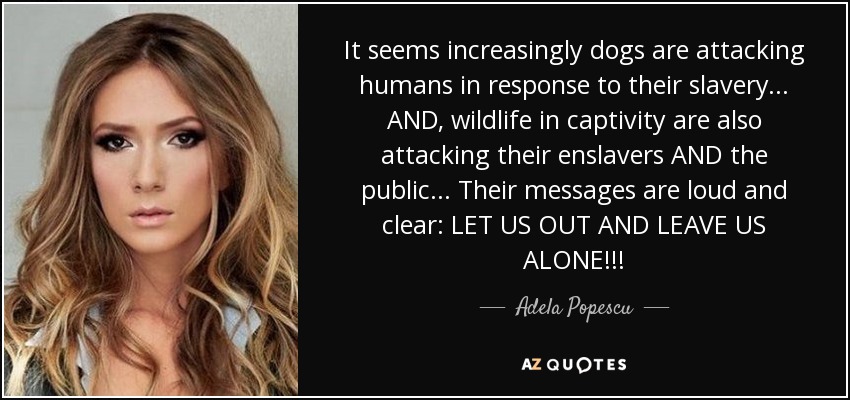 It seems increasingly dogs are attacking humans in response to their slavery... AND, wildlife in captivity are also attacking their enslavers AND the public... Their messages are loud and clear: LET US OUT AND LEAVE US ALONE!!! - Adela Popescu