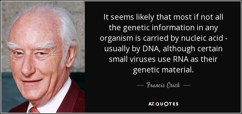 It seems likely that most if not all the genetic information in any organism is carried by nucleic acid - usually by DNA, although certain small viruses use RNA as their genetic material. - Francis Crick