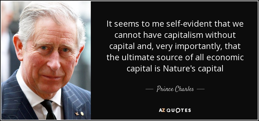 It seems to me self-evident that we cannot have capitalism without capital and, very importantly, that the ultimate source of all economic capital is Nature's capital - Prince Charles