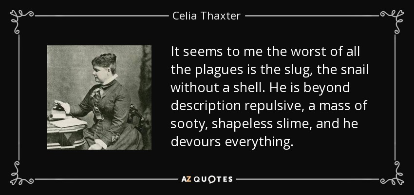 It seems to me the worst of all the plagues is the slug, the snail without a shell. He is beyond description repulsive, a mass of sooty, shapeless slime, and he devours everything. - Celia Thaxter