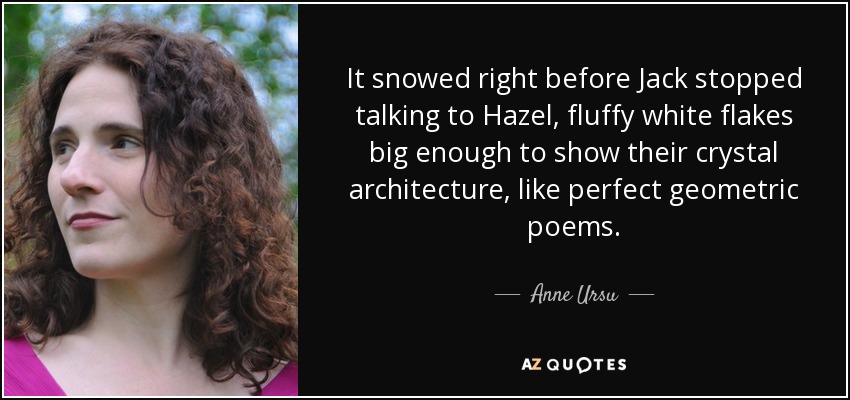 It snowed right before Jack stopped talking to Hazel, fluffy white flakes big enough to show their crystal architecture, like perfect geometric poems. - Anne Ursu