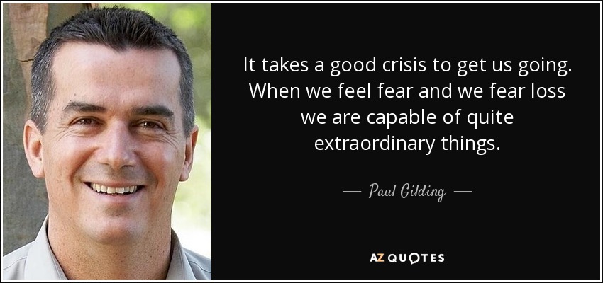 It takes a good crisis to get us going. When we feel fear and we fear loss we are capable of quite extraordinary things. - Paul Gilding
