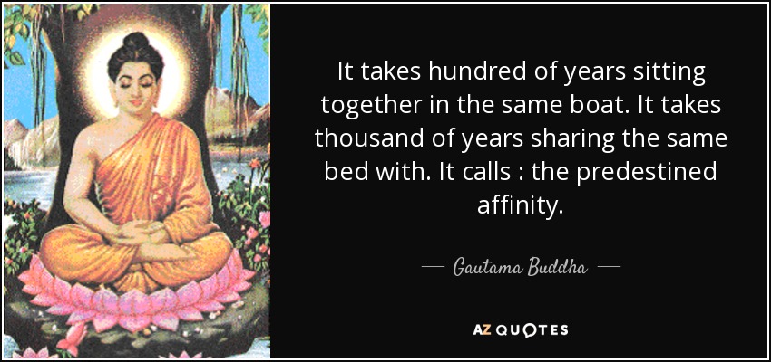 It takes hundred of years sitting together in the same boat. It takes thousand of years sharing the same bed with. It calls : the predestined affinity. - Gautama Buddha