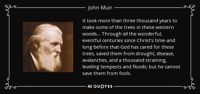 It took more than three thousand years to make some of the trees in these western woods ... Through all the wonderful, eventful centuries since Christ's time-and long before that-God has cared for these trees, saved them from drought, disease, avalanches, and a thousand straining, leveling tempests and floods; but he cannot save them from fools. - John Muir