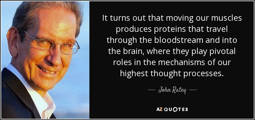 It turns out that moving our muscles produces proteins that travel through the bloodstream and into the brain, where they play pivotal roles in the mechanisms of our highest thought processes. - John Ratey