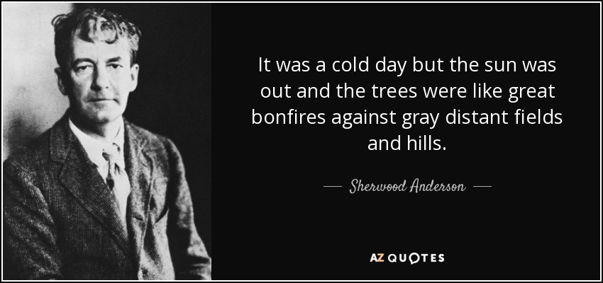 It was a cold day but the sun was out and the trees were like great bonfires against gray distant fields and hills. - Sherwood Anderson