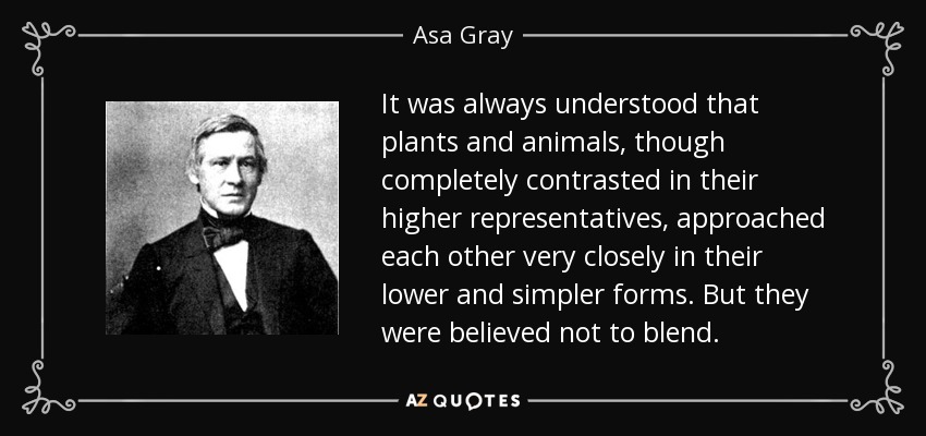 It was always understood that plants and animals, though completely contrasted in their higher representatives, approached each other very closely in their lower and simpler forms. But they were believed not to blend. - Asa Gray