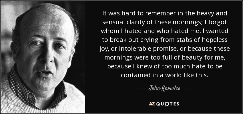 It was hard to remember in the heavy and sensual clarity of these mornings; I forgot whom I hated and who hated me. I wanted to break out crying from stabs of hopeless joy, or intolerable promise, or because these mornings were too full of beauty for me, because I knew of too much hate to be contained in a world like this. - John Knowles