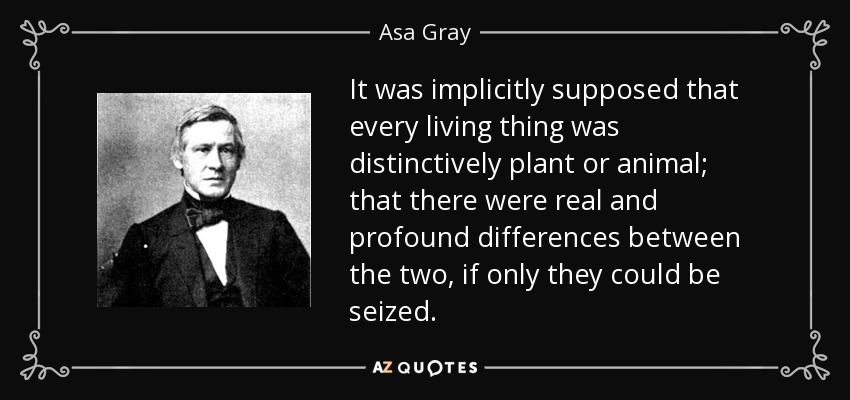 It was implicitly supposed that every living thing was distinctively plant or animal; that there were real and profound differences between the two, if only they could be seized. - Asa Gray