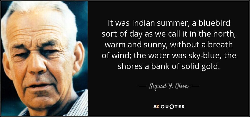 It was Indian summer, a bluebird sort of day as we call it in the north, warm and sunny, without a breath of wind; the water was sky-blue, the shores a bank of solid gold. - Sigurd F. Olson