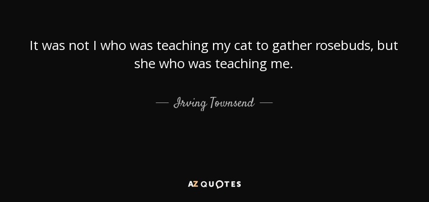 It was not I who was teaching my cat to gather rosebuds, but she who was teaching me. - Irving Townsend