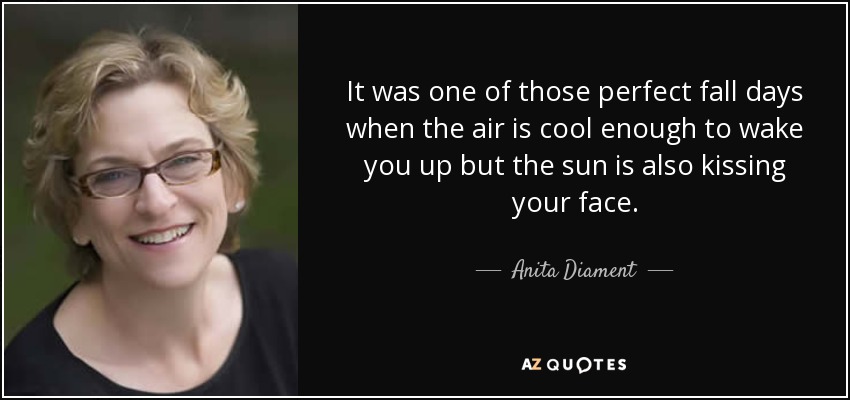 It was one of those perfect fall days when the air is cool enough to wake you up but the sun is also kissing your face. - Anita Diament