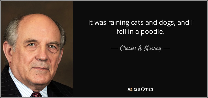 It was raining cats and dogs, and I fell in a poodle. - Charles A. Murray