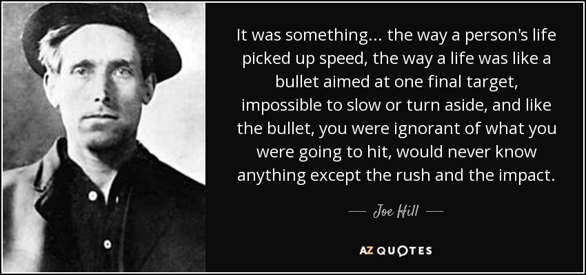 It was something... the way a person's life picked up speed, the way a life was like a bullet aimed at one final target, impossible to slow or turn aside, and like the bullet, you were ignorant of what you were going to hit, would never know anything except the rush and the impact. - Joe Hill