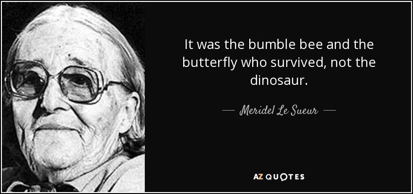It was the bumble bee and the butterfly who survived, not the dinosaur. - Meridel Le Sueur
