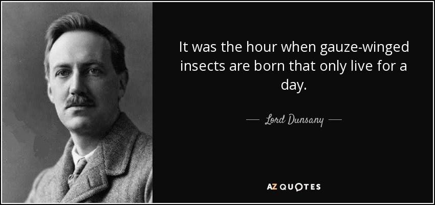 It was the hour when gauze-winged insects are born that only live for a day. - Lord Dunsany