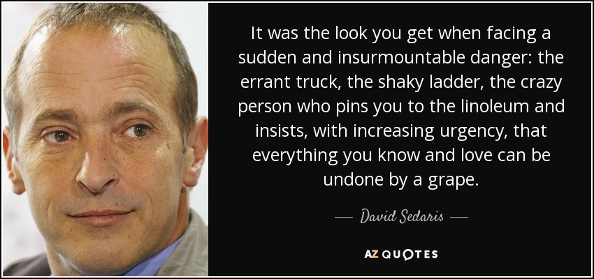 It was the look you get when facing a sudden and insurmountable danger: the errant truck, the shaky ladder, the crazy person who pins you to the linoleum and insists, with increasing urgency, that everything you know and love can be undone by a grape. - David Sedaris