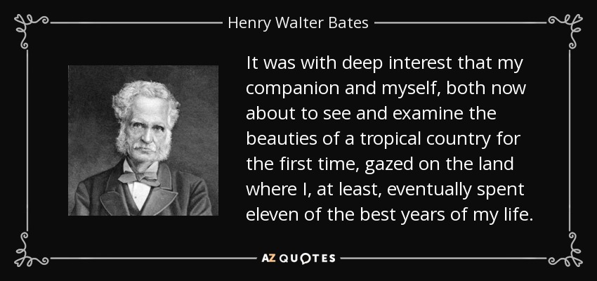 It was with deep interest that my companion and myself, both now about to see and examine the beauties of a tropical country for the first time, gazed on the land where I, at least, eventually spent eleven of the best years of my life. - Henry Walter Bates