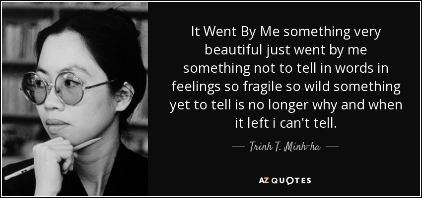 It Went By Me something very beautiful just went by me something not to tell in words in feelings so fragile so wild something yet to tell is no longer why and when it left i can't tell. - Trinh T. Minh-ha