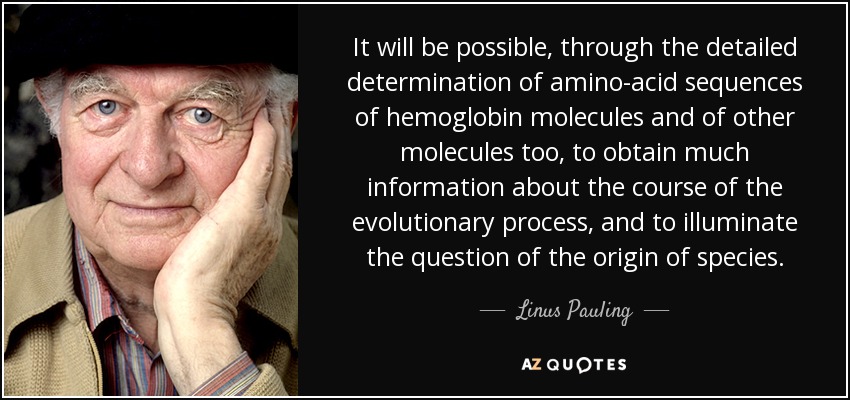 It will be possible, through the detailed determination of amino-acid sequences of hemoglobin molecules and of other molecules too, to obtain much information about the course of the evolutionary process, and to illuminate the question of the origin of species. - Linus Pauling