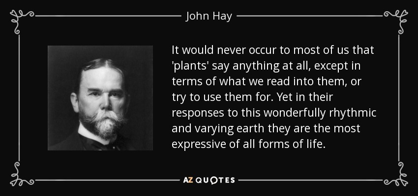 It would never occur to most of us that 'plants' say anything at all, except in terms of what we read into them, or try to use them for. Yet in their responses to this wonderfully rhythmic and varying earth they are the most expressive of all forms of life. - John Hay
