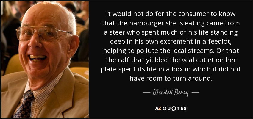 It would not do for the consumer to know that the hamburger she is eating came from a steer who spent much of his life standing deep in his own excrement in a feedlot, helping to pollute the local streams. Or that the calf that yielded the veal cutlet on her plate spent its life in a box in which it did not have room to turn around. - Wendell Berry