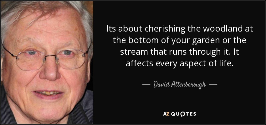 Its about cherishing the woodland at the bottom of your garden or the stream that runs through it. It affects every aspect of life. - David Attenborough