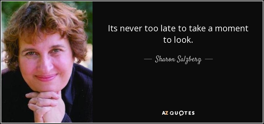 Its never too late to take a moment to look. - Sharon Salzberg