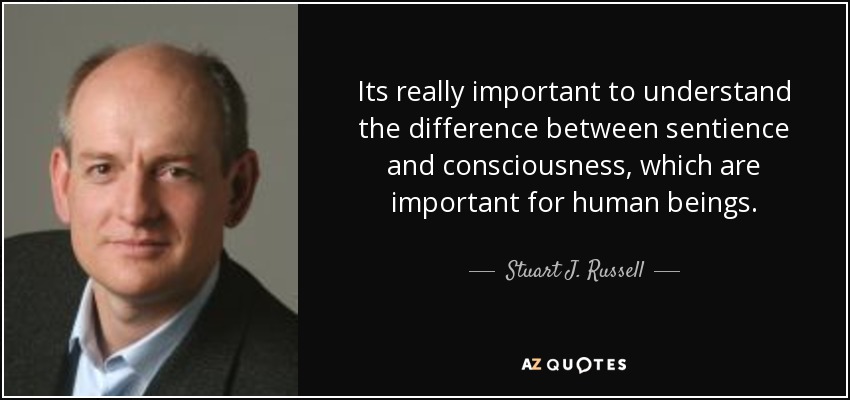 Its really important to understand the difference between sentience and consciousness, which are important for human beings. - Stuart J. Russell