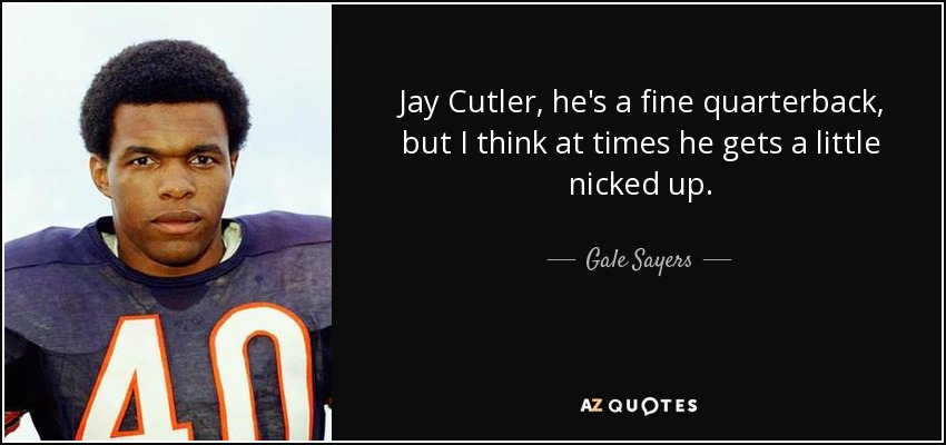 Jay Cutler, he's a fine quarterback, but I think at times he gets a little nicked up. - Gale Sayers