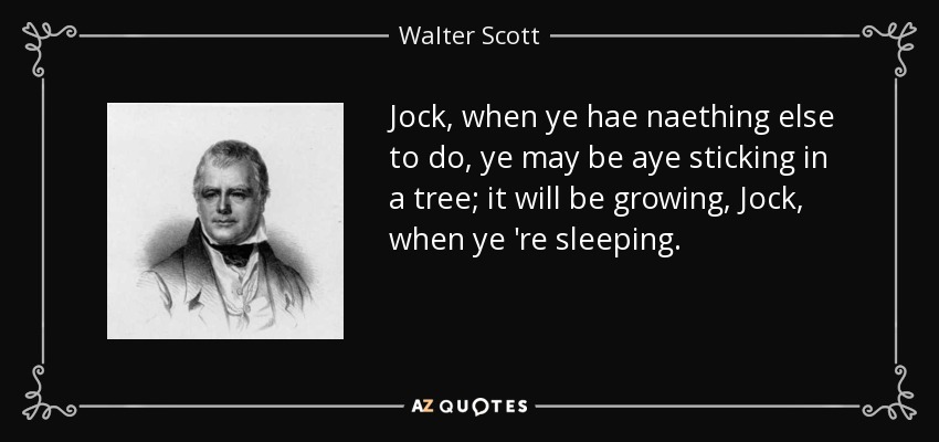 Jock, when ye hae naething else to do, ye may be aye sticking in a tree; it will be growing, Jock, when ye 're sleeping. - Walter Scott