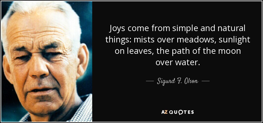 Joys come from simple and natural things: mists over meadows, sunlight on leaves, the path of the moon over water. - Sigurd F. Olson